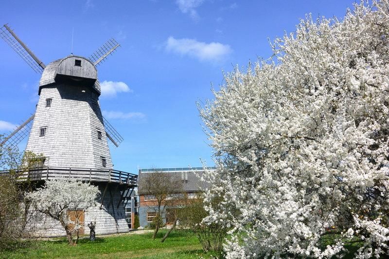 Дома для отпуска Brīvdienu māja Zeļļi Ceraukste-6